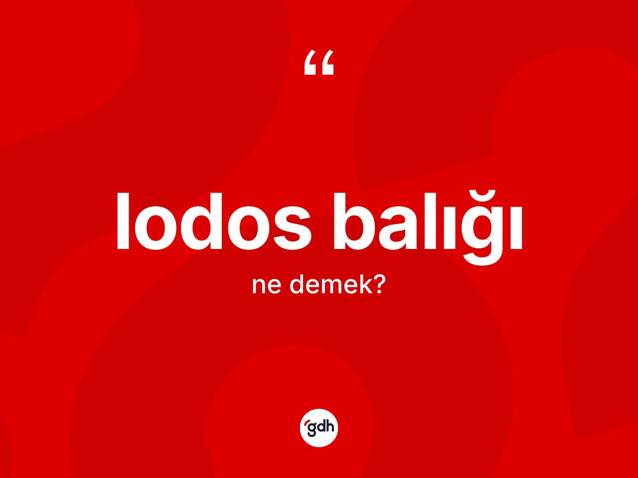 Lodos balığı kelimesi ne demek? Lodos balığının kısaca tanımı nedir?