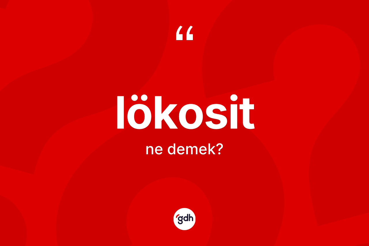 Lökosit nedir? Lökosit kelimesinin kaç farklı anlamı var?