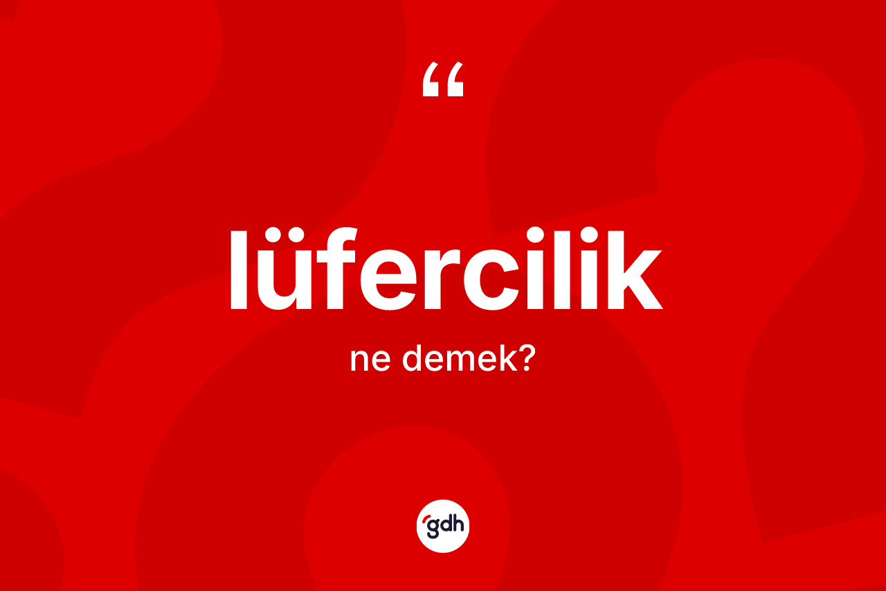 Lüfercilik kelimesinin anlamı nedir? Lüfercilik kelimesinin TDK anlamı nedir?