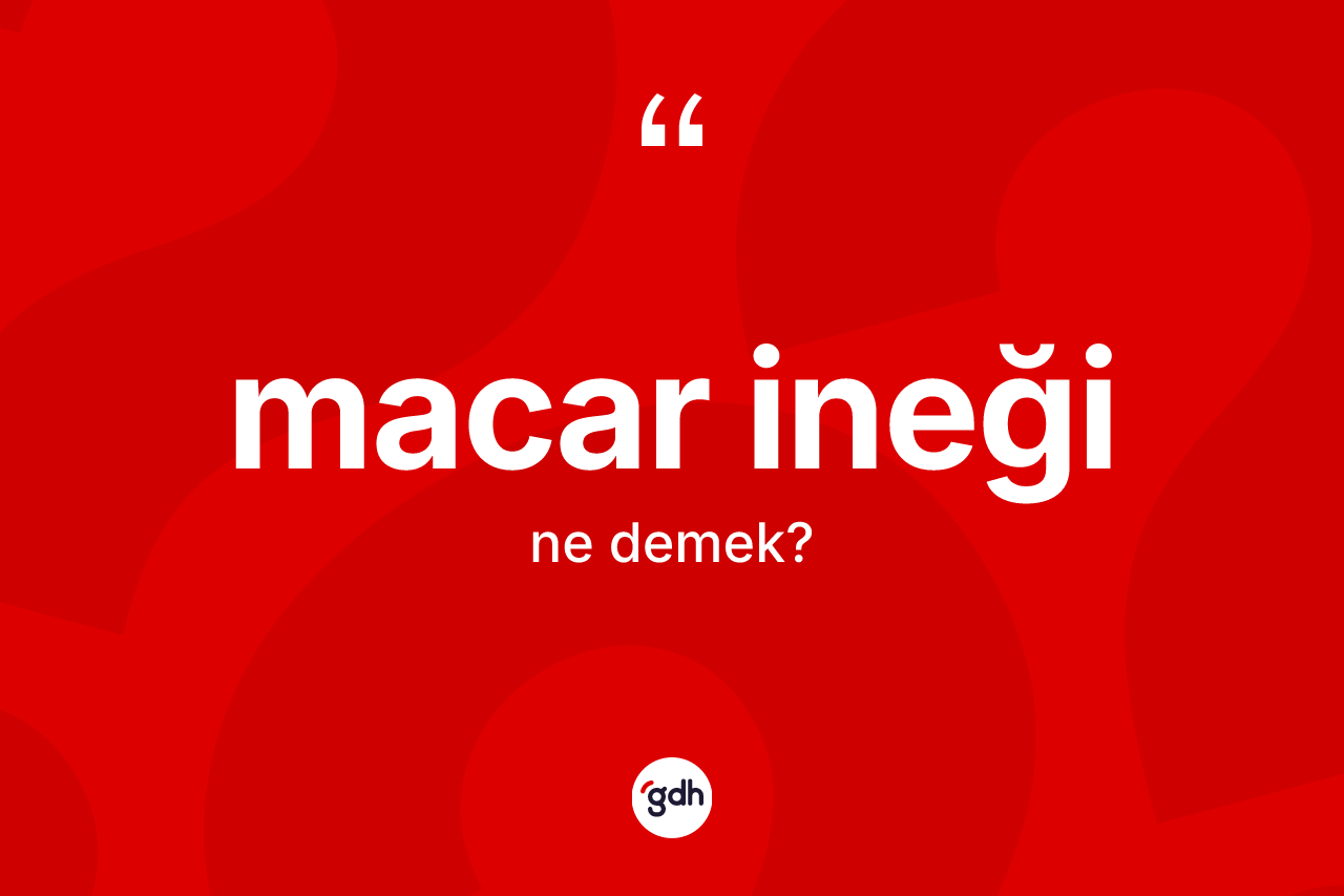 Macar ineği kelimesi nedir? Macar ineği kelimesinin TDK anlamı nedir?