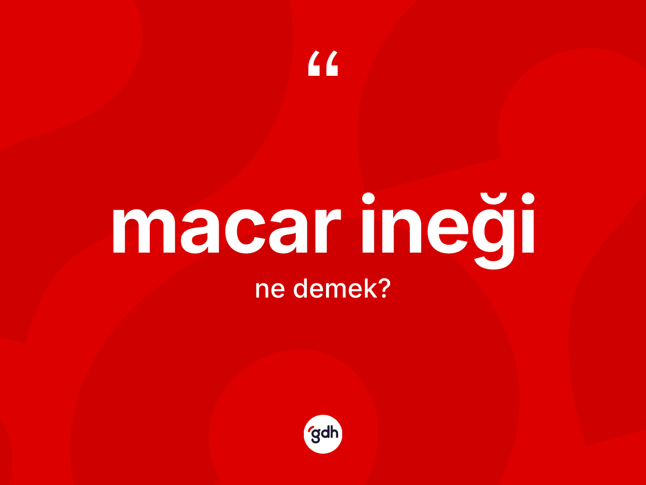 Macar ineği kelimesi nedir? Macar ineği kelimesinin TDK anlamı nedir?