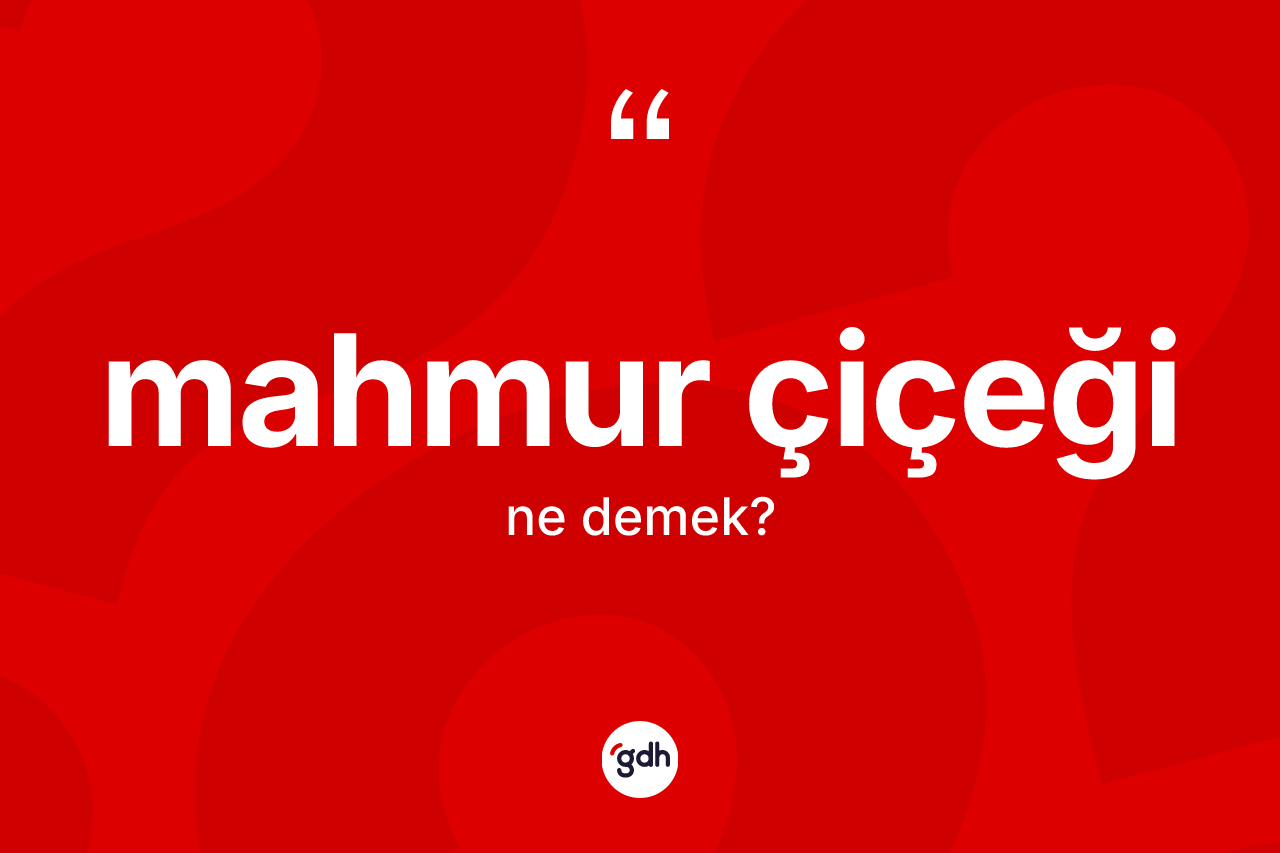 Mahmur çiçeği kelimesinin sözlükteki tanımı nedir?