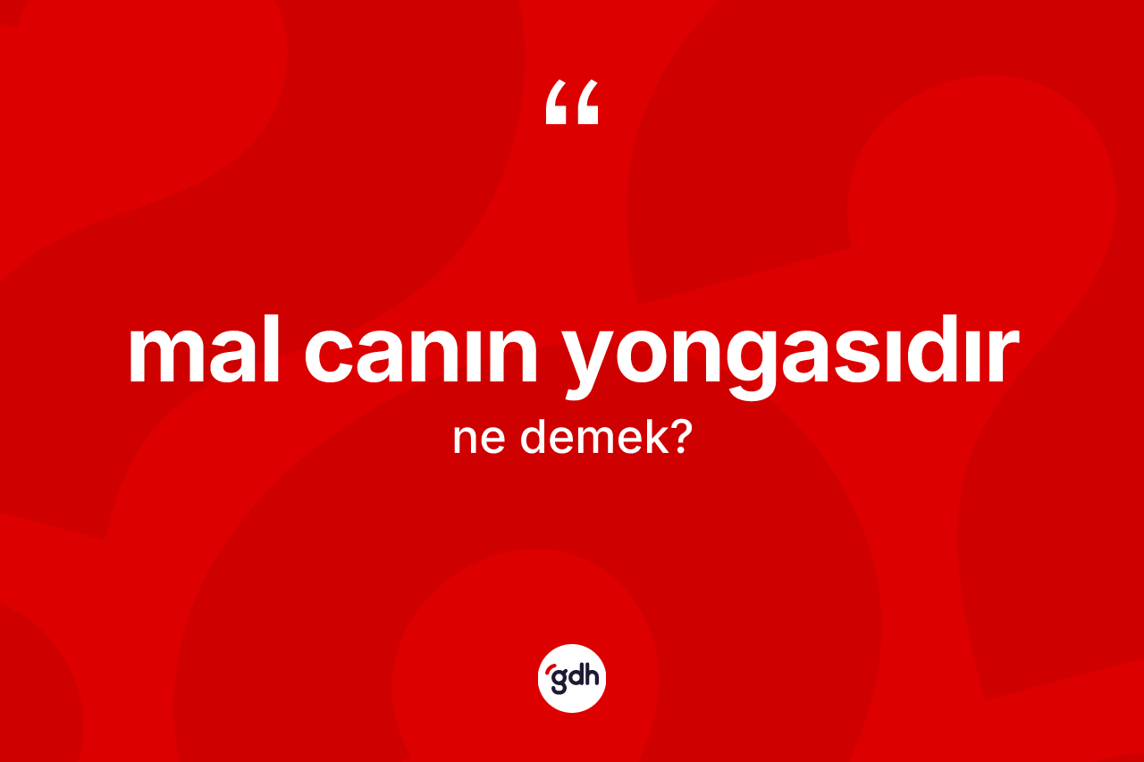 Mal canın yongasıdır ifadesinin anlamı nedir? Mal canın yongasıdır ifadesinin kaç farklı anlamı var?