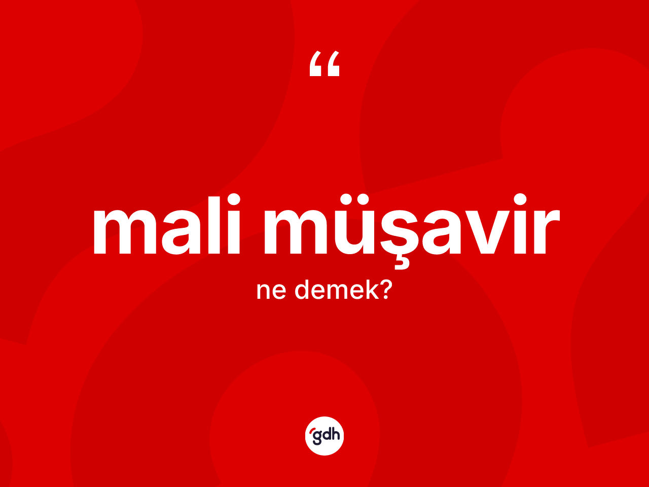 Mali müşavir kelimesinin anlamı nedir? Mali müşavirin sözlükteki anlamı nedir?