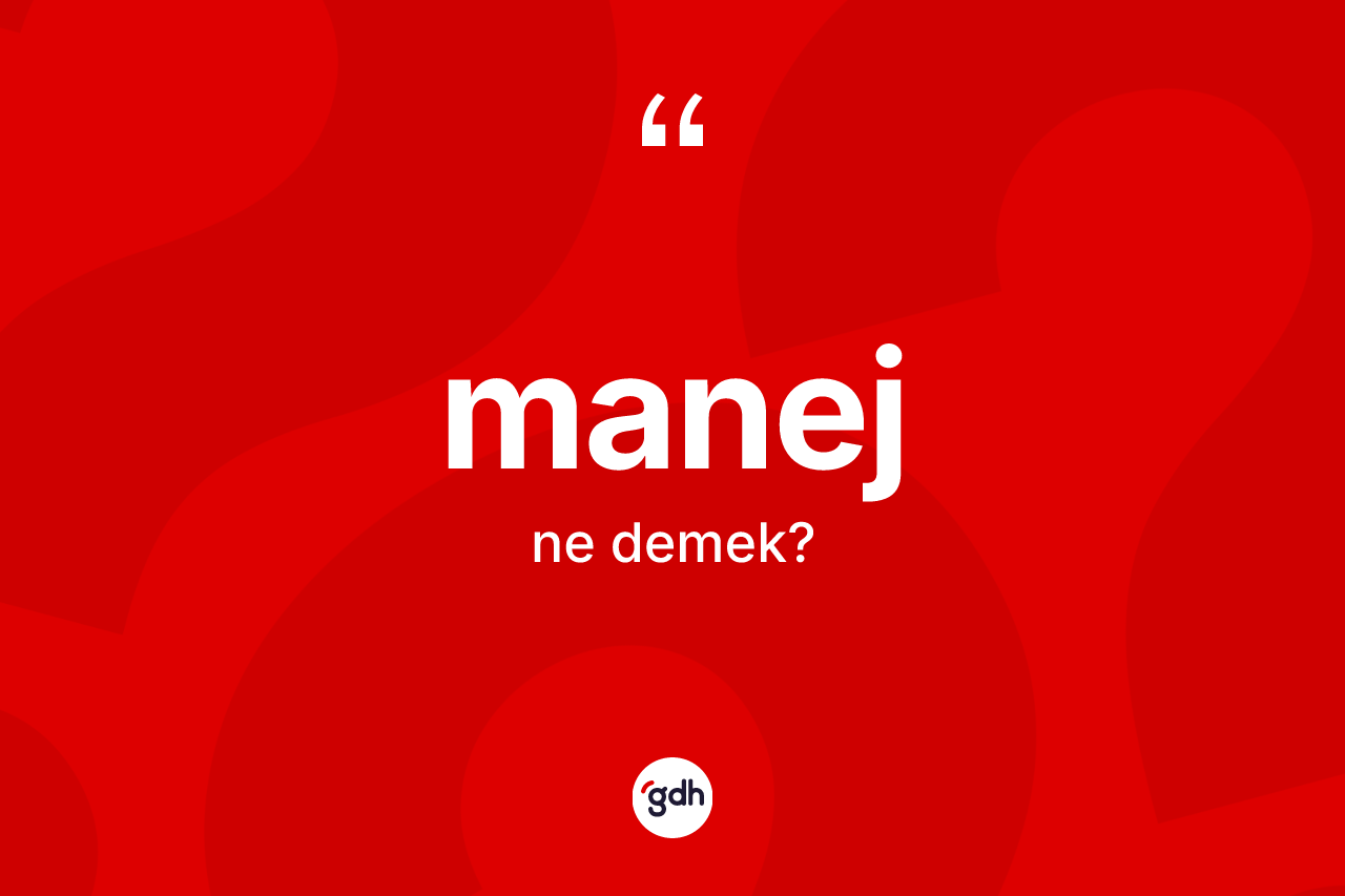 Manej kelimesinin anlamı nedir? Manejin TDK'ya göre anlamı nedir?