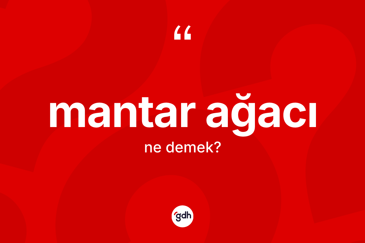 Mantar ağacı kelimesinin tanımı nedir?