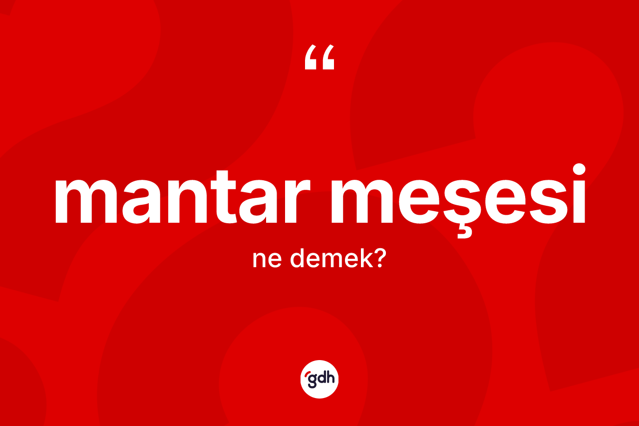 Mantar meşesi kelimesinin sözlükteki tanımı nedir?