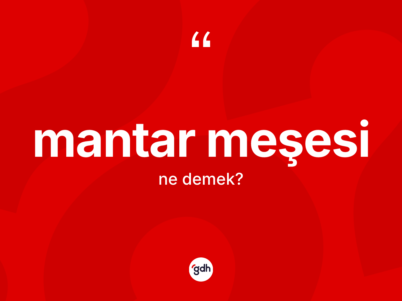 Mantar meşesi kelimesinin sözlükteki tanımı nedir? Mantar meşesinin halk arasındaki kullanımı nasıldır?