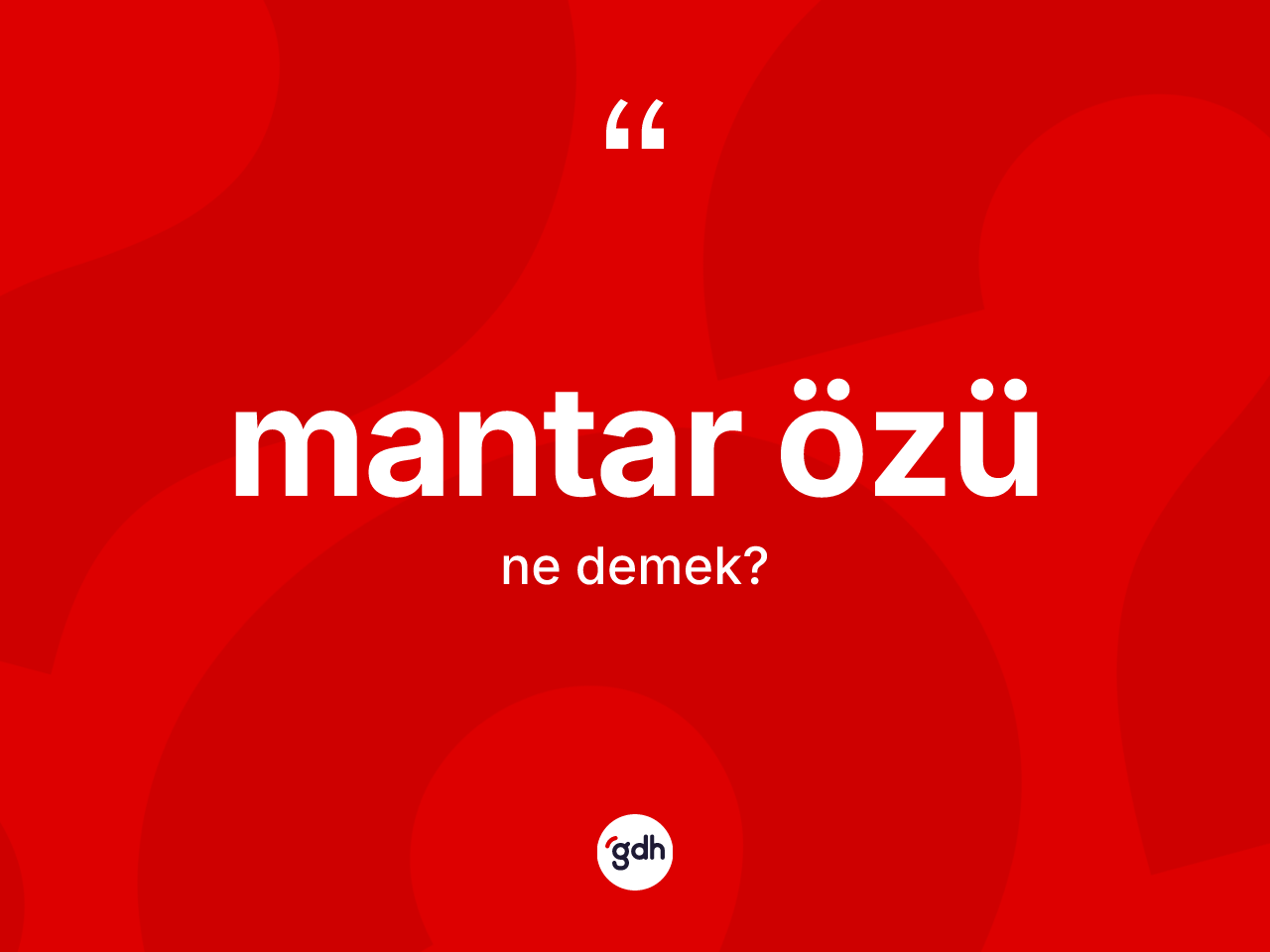 Mantar özü kelimesinin anlamı nedir? Mantar özünün sözlükteki anlamı nedir?