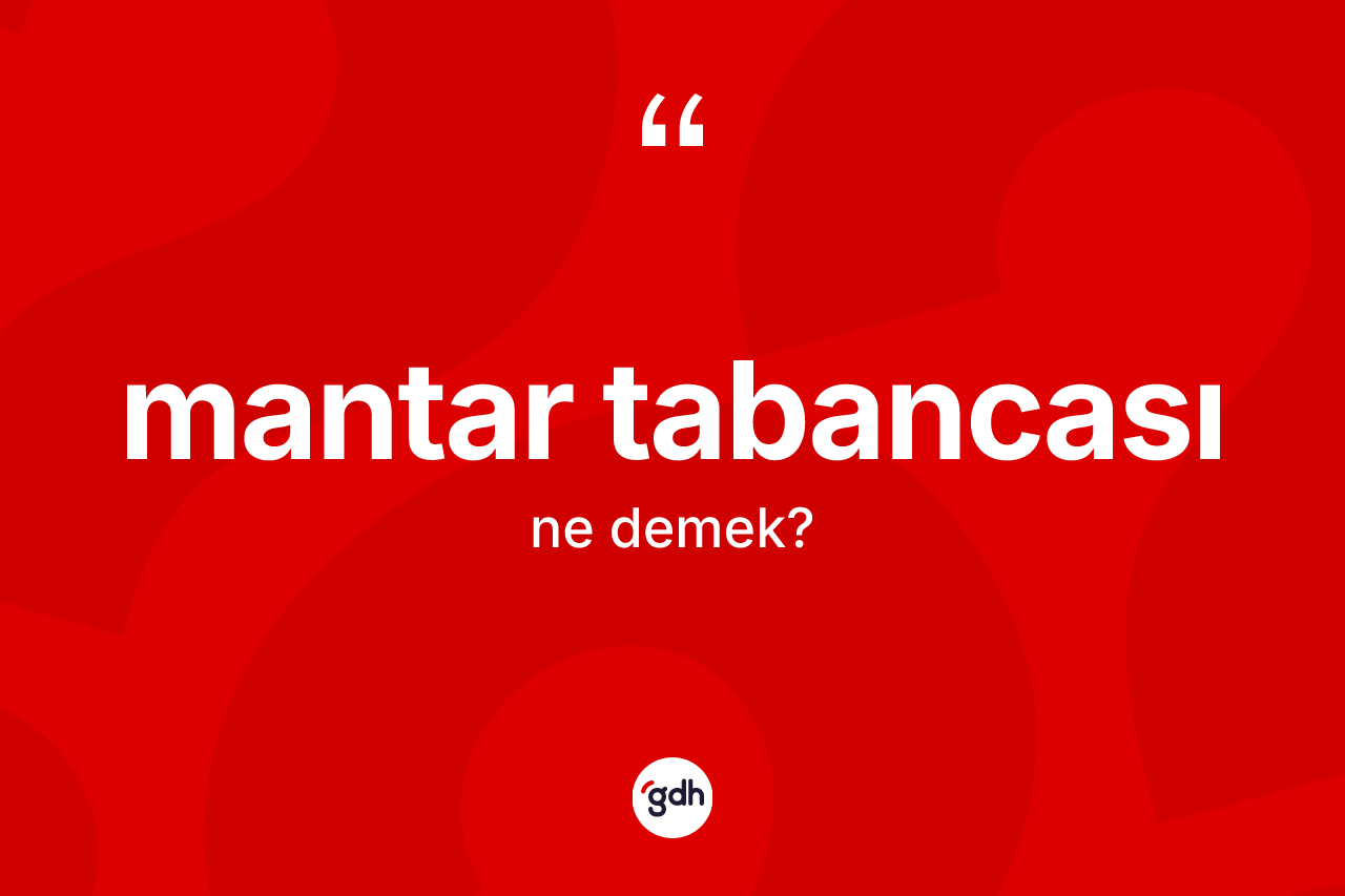 Mantar tabancası kelimesinin tanımı nedir?