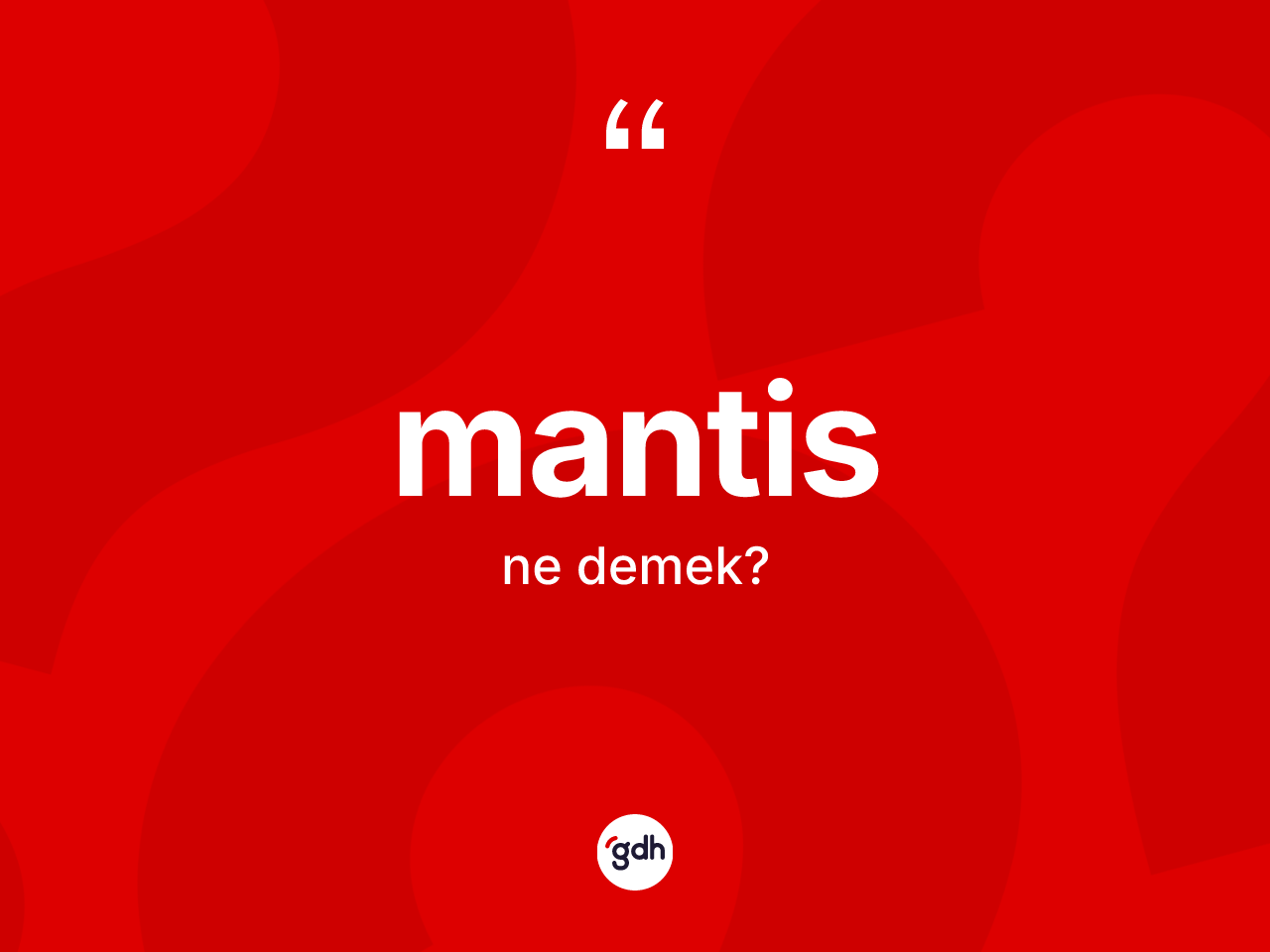 Mantis ne demek? Mantisin kısaca tanımı nedir?