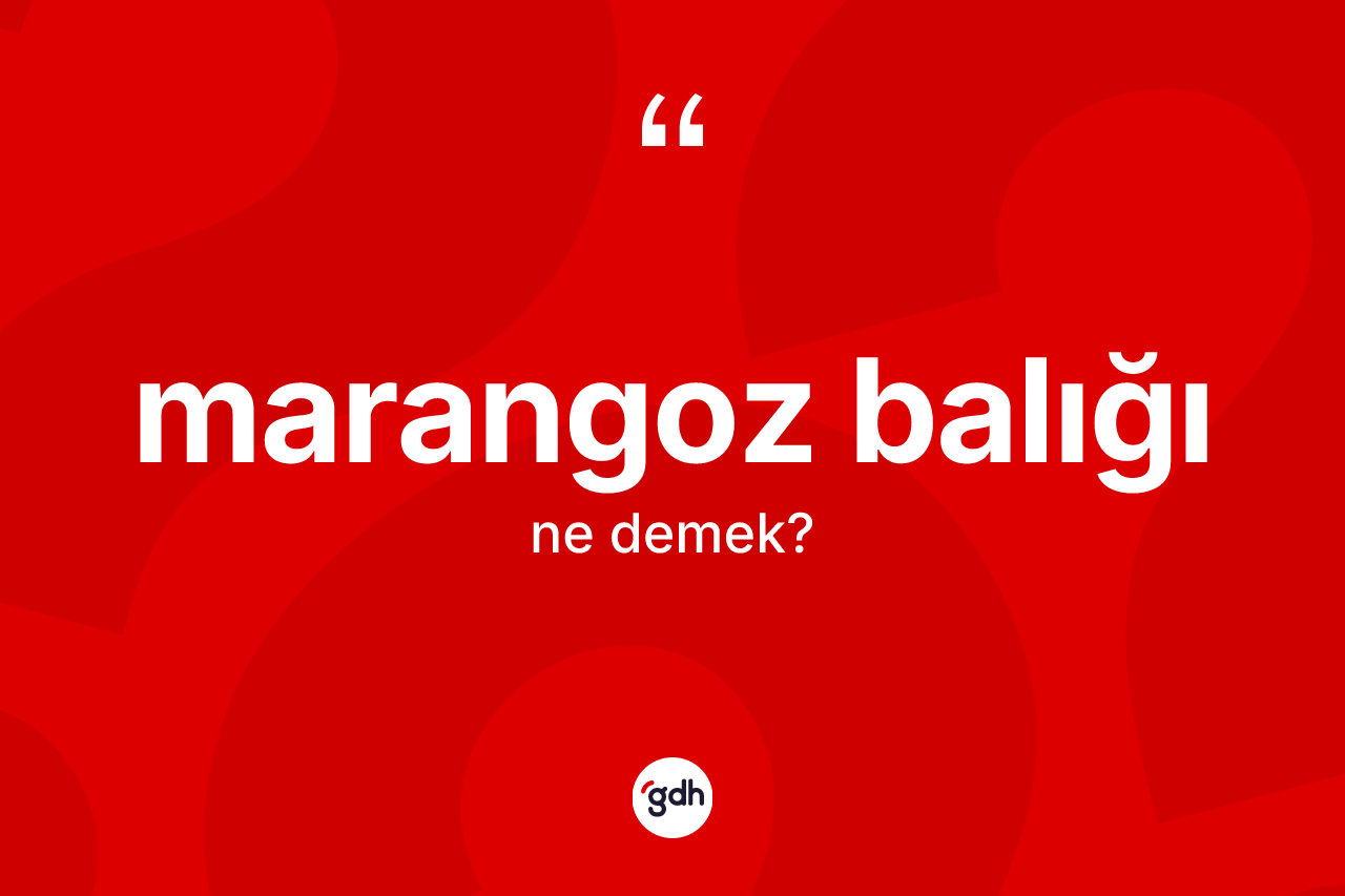 Marangoz balığı nedir?
