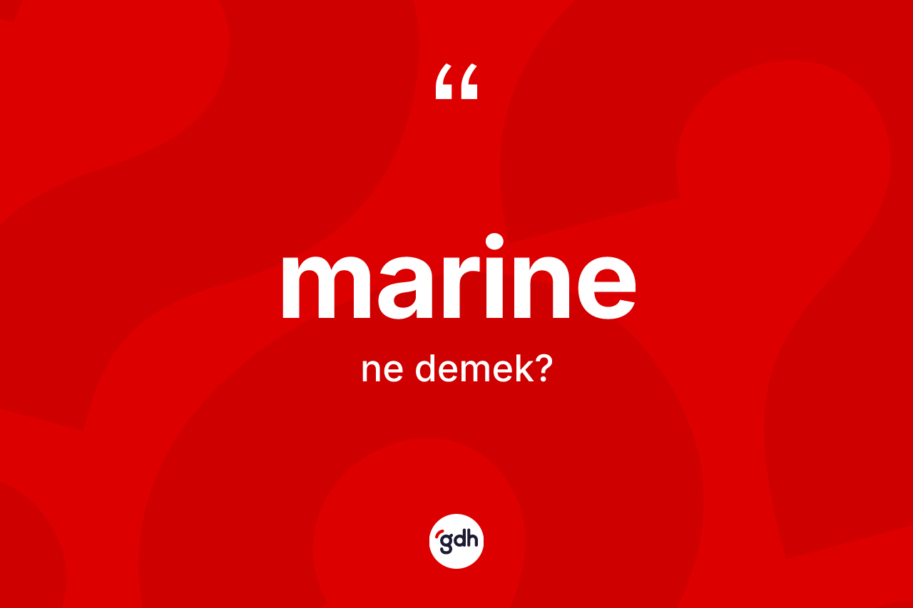 Marine kelimesinin sözlükteki tanımı nedir? Marinenin kısaca tanımı nedir?