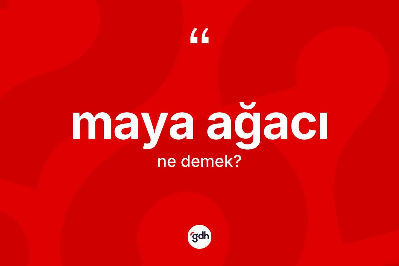 Maya ağacı nedir?