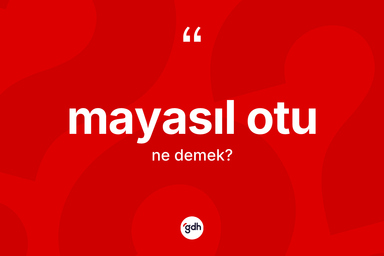 Mayasıl otu kelimesinin sözlükteki tanımı nedir? Mayasıl otu kelimesinin TDK'ya göre açıklaması nedir?