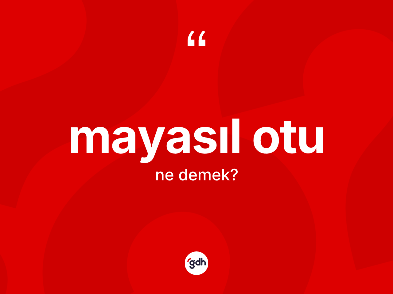 Mayasıl otu kelimesinin sözlükteki tanımı nedir? Mayasıl otu kelimesinin TDK'ya göre açıklaması nedir?