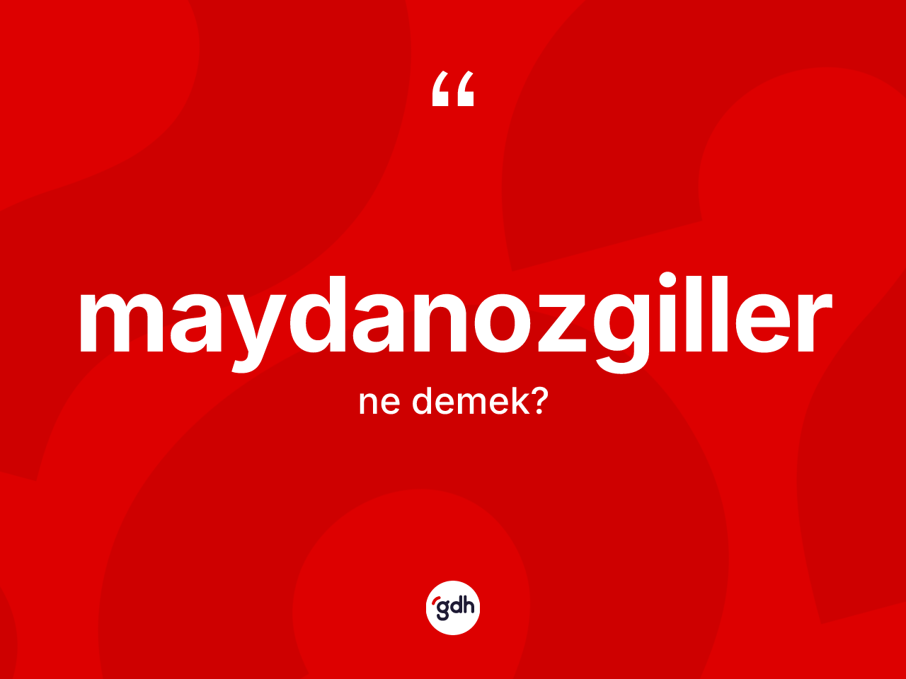 Maydanozgiller kelimesi nedir? Maydanozgiller kelimesinin özellikleri nelerdir?