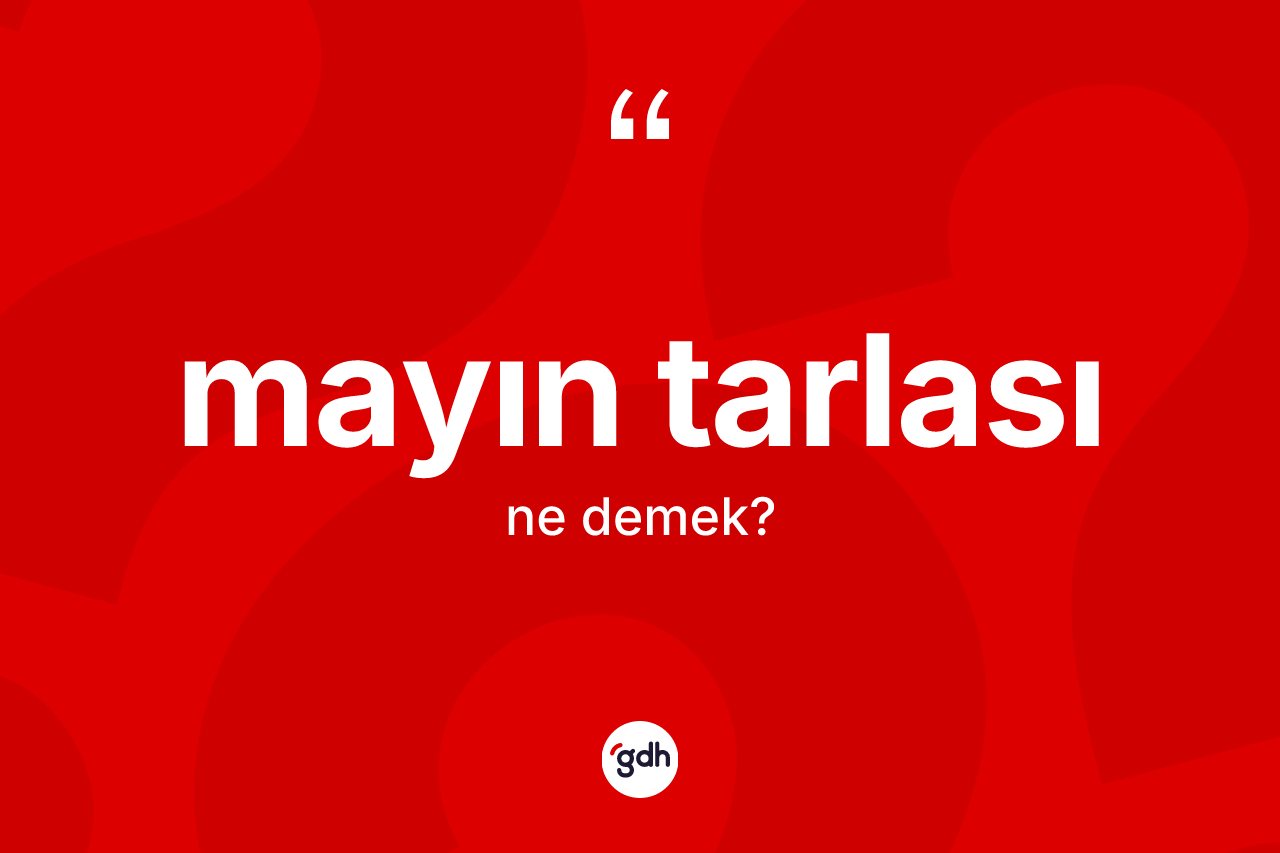 Mayın tarlası kelimesi nedir? Mayın tarlası kelimesinin özellikleri nelerdir?