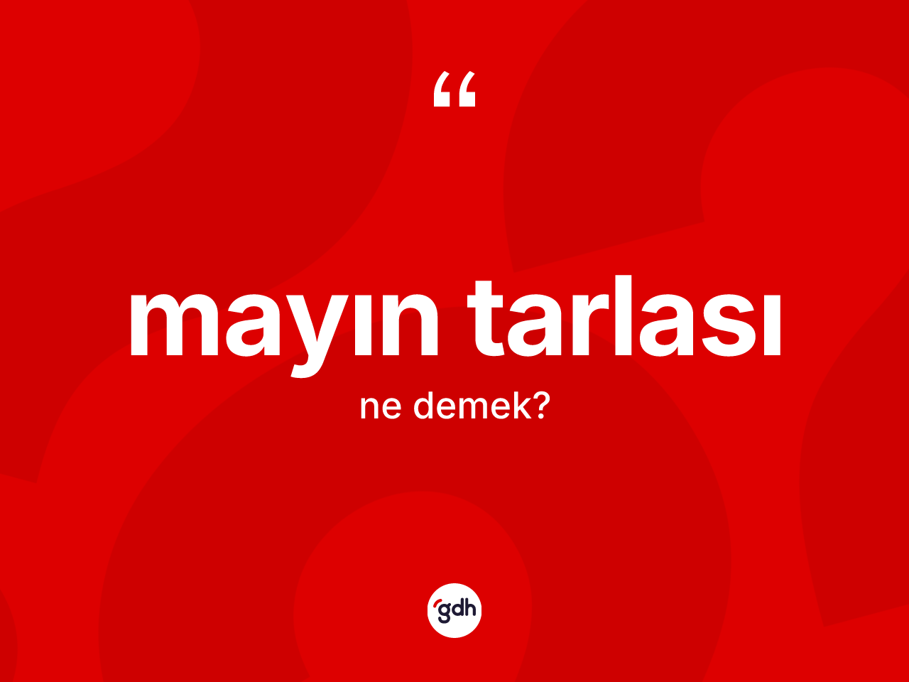 Mayın tarlası kelimesi nedir? Mayın tarlası kelimesinin özellikleri nelerdir?