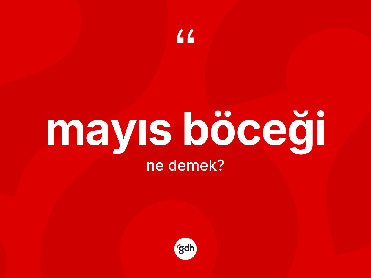 Mayıs böceği kelimesi ne anlama gelir? Mayıs böceğinin halk arasındaki kullanımı nasıldır?