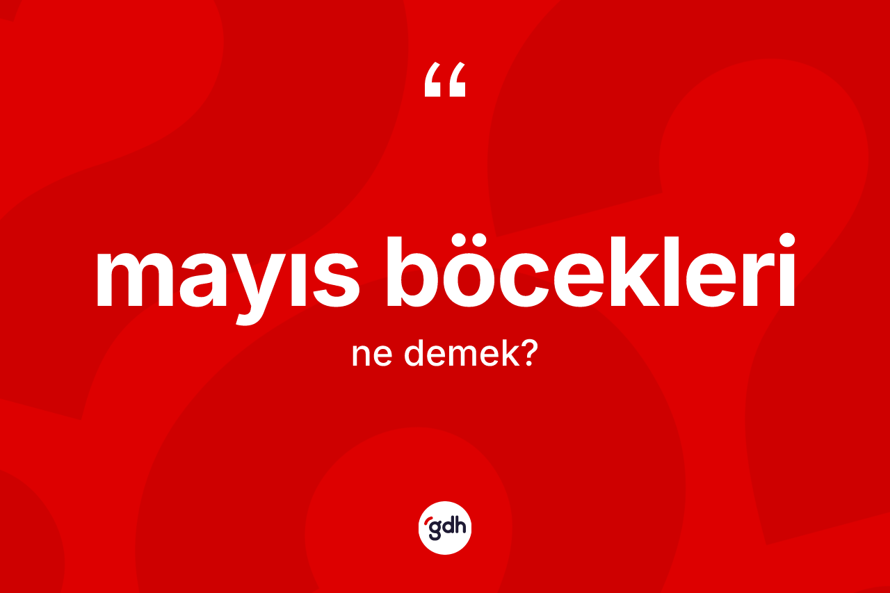 Mayıs böcekleri kelimesi nedir? Mayıs böceklerinin TDK'ya göre anlamı nedir?