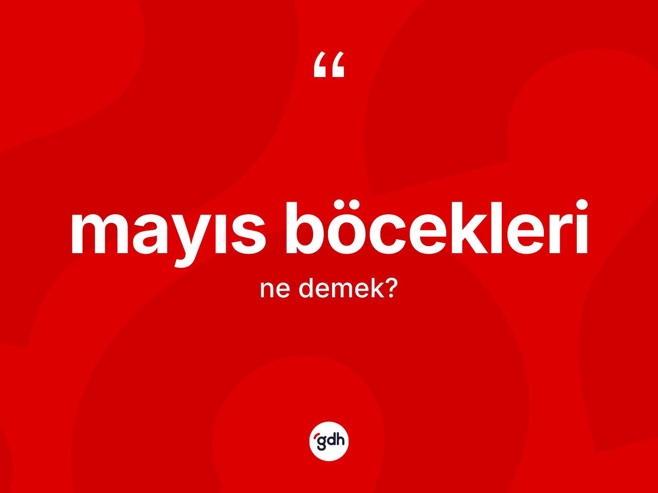 Mayıs böcekleri kelimesi nedir? Mayıs böceklerinin TDK'ya göre anlamı nedir?