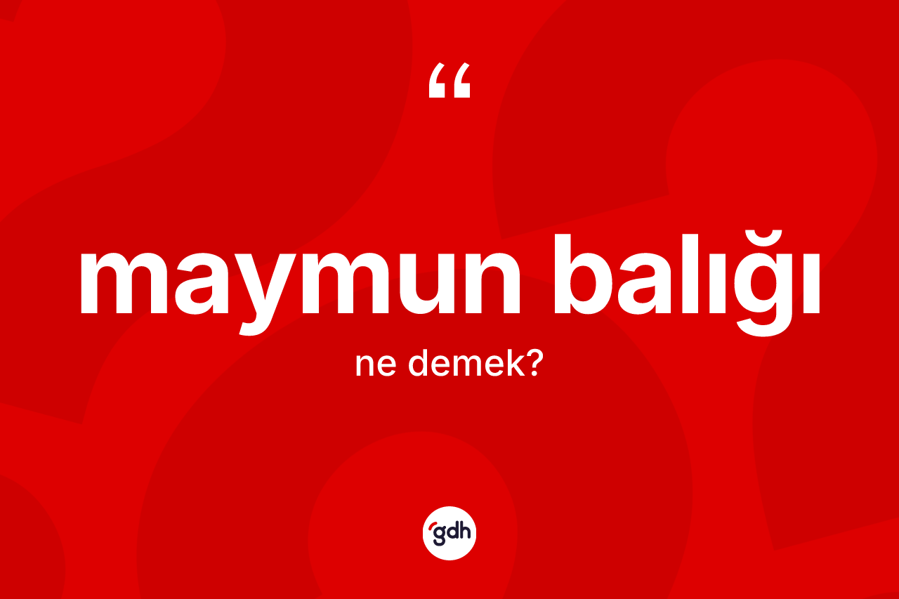 Maymun balığı ne demek? Maymun balığının halk arasındaki kullanımı nasıldır?