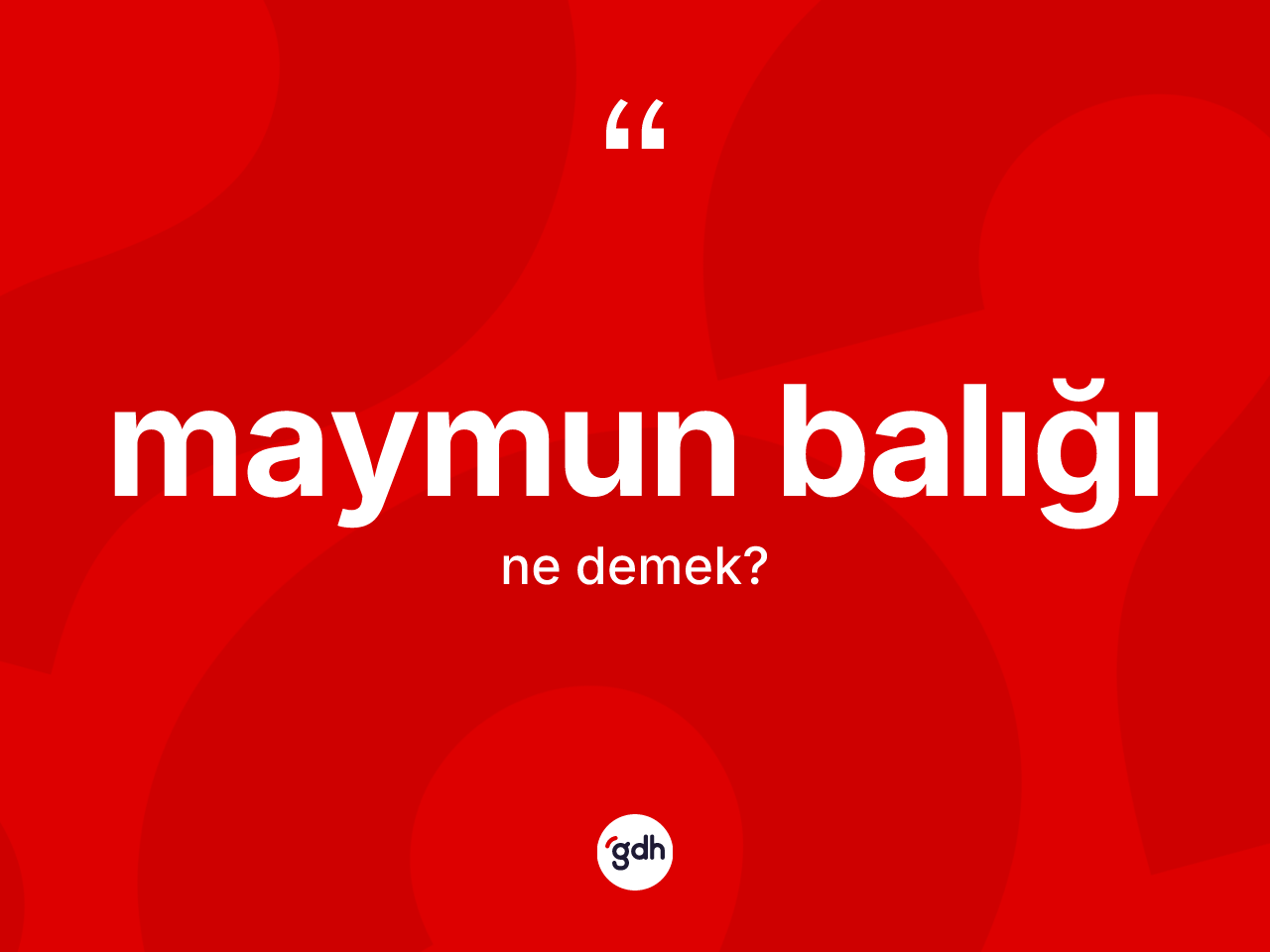 Maymun balığı ne demek? Maymun balığının halk arasındaki kullanımı nasıldır?