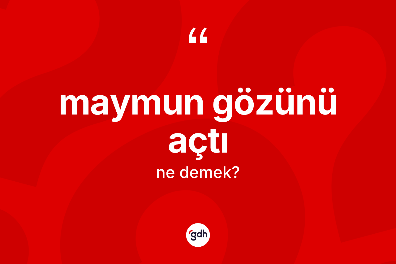 Maymun gözünü açtı ifadesi ne demek? Maymun gözünü açtı sözünün sözlük anlamı nedir?