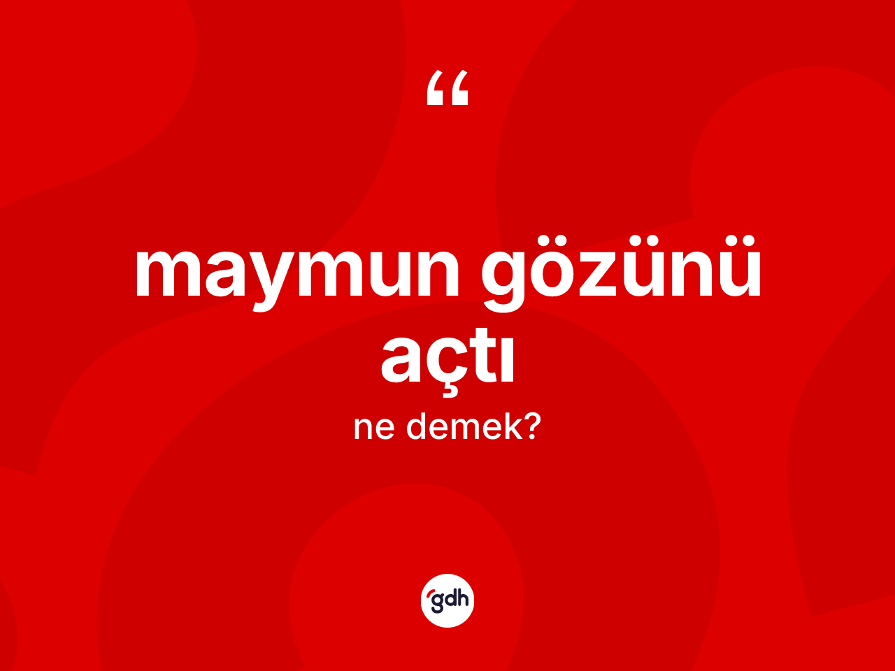 Maymun gözünü açtı ifadesi ne demek? Maymun gözünü açtı sözünün sözlük anlamı nedir?