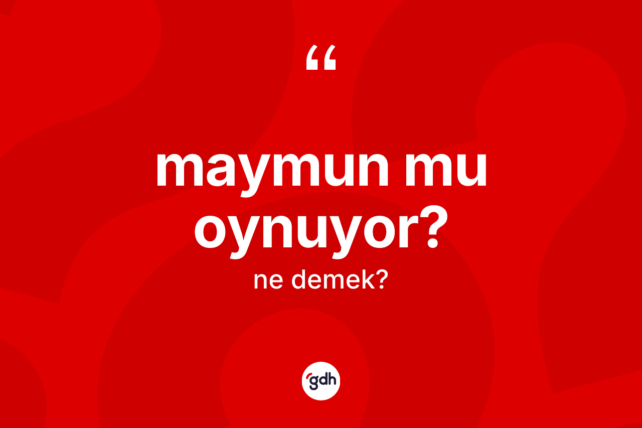 Maymun mu oynuyor? ifadesi neyi anlatır? Maymun mu oynuyor? sözünün TDK'ya göre anlamı nedir?