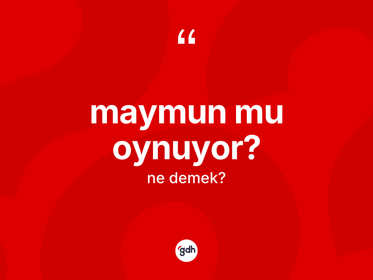 Maymun mu oynuyor? ifadesi neyi anlatır? Maymun mu oynuyor? sözünün TDK'ya göre anlamı nedir?