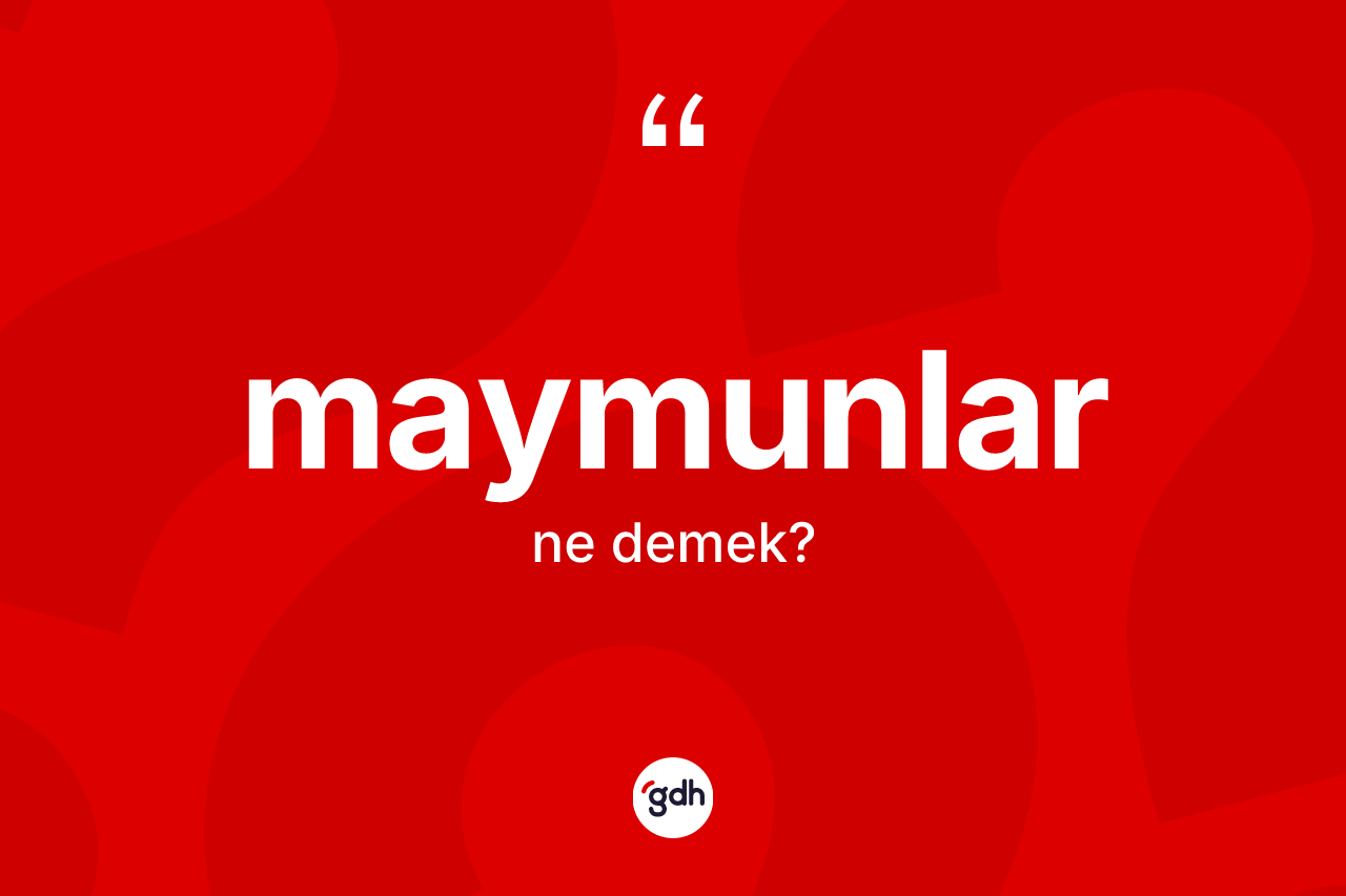 Maymunlar ne demek? Maymunlar kelimesinin TDK'ya göre açıklaması nedir?