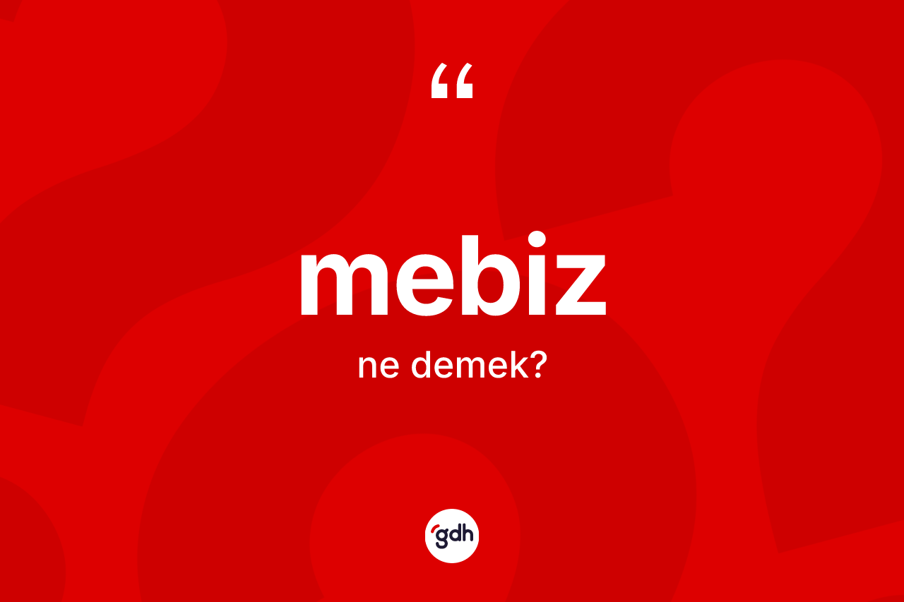 Mebiz kelimesi ne anlama gelir? Mebiz kelimesinin TDK'ya göre açıklaması nedir?