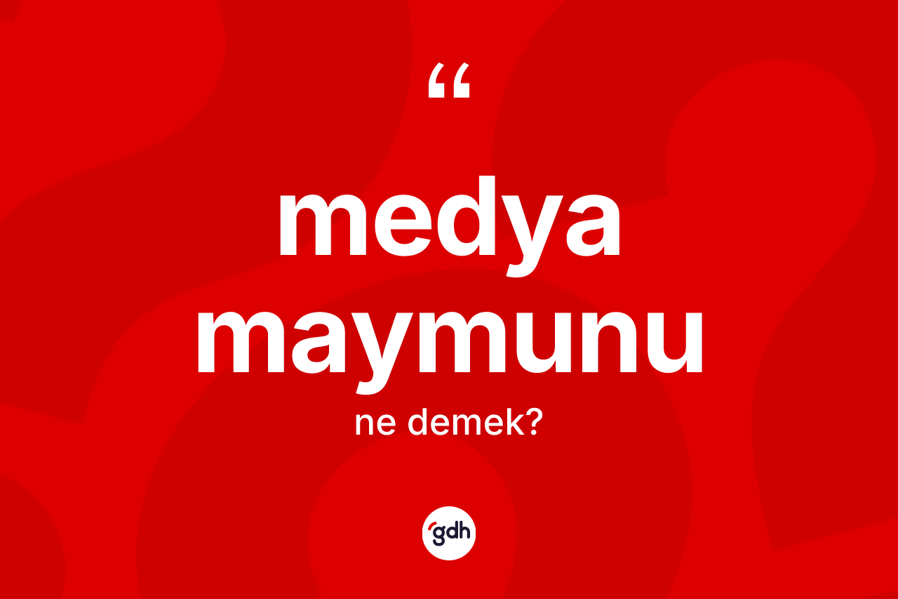 Medya maymunu  kelimesi ne anlama gelir? Medya maymunu  kelimesinin kaç farklı anlamı var?