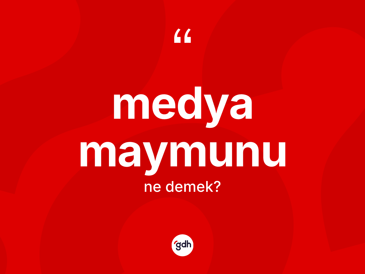 Medya maymunu  kelimesi ne anlama gelir? Medya maymunu  kelimesinin kaç farklı anlamı var?
