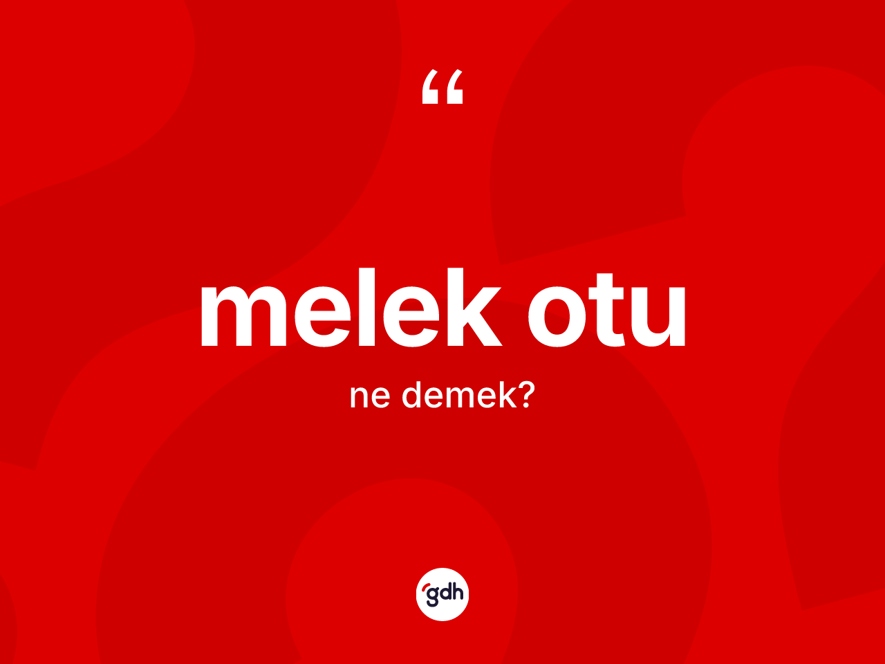 Melek otu nedir? Melek otunun halk arasındaki kullanımı nasıldır?