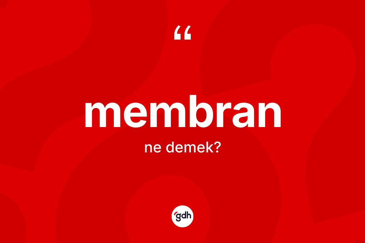 Membran  kelimesinin tanımı nedir? Membran  kelimesinin özellikleri nelerdir?