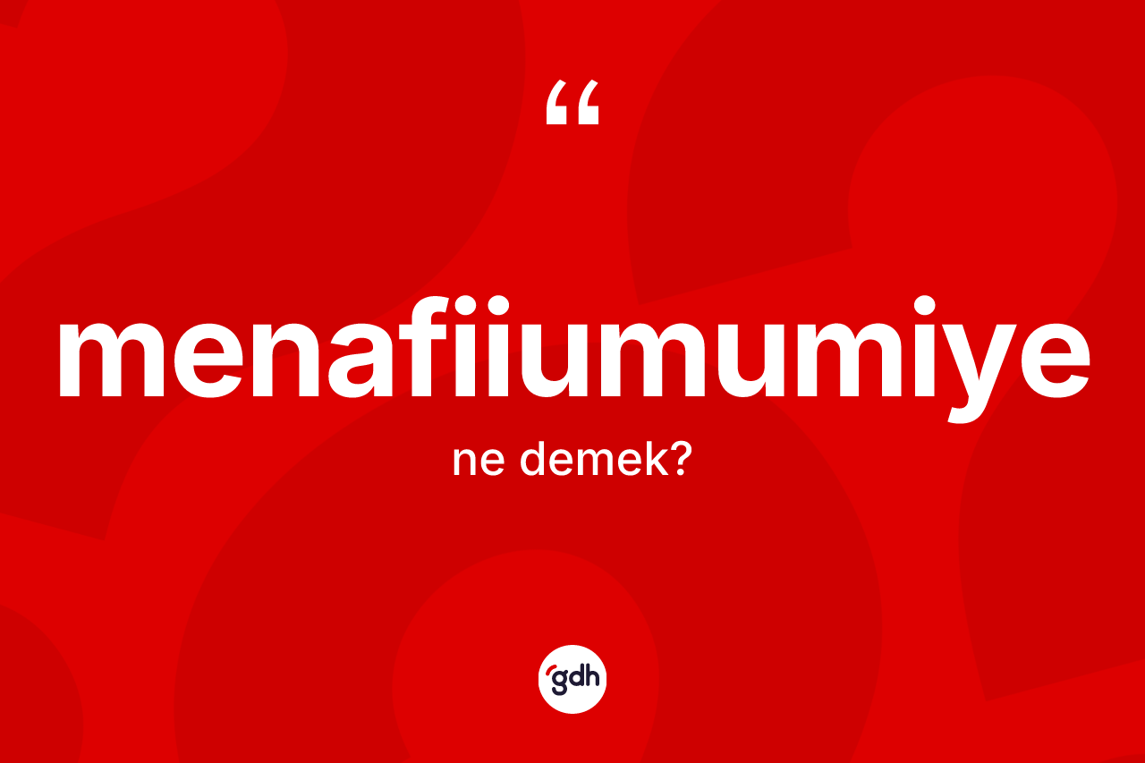 Menafiiumumiye kelimesinin sözlükteki tanımı nedir? Menafiiumumiyenin kısaca tanımı nedir?