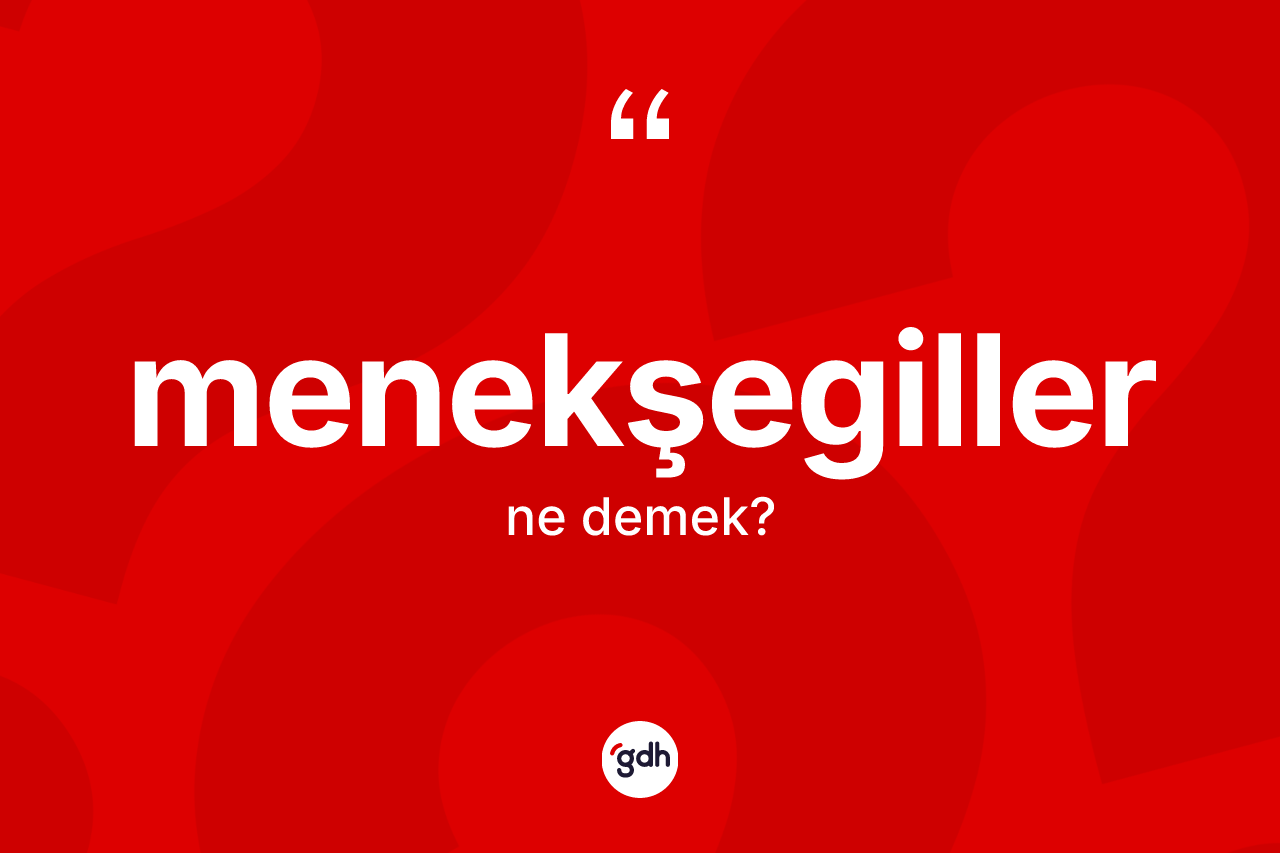 Menekşegiller ne demek? Menekşegiller kelimesinin özellikleri nelerdir?