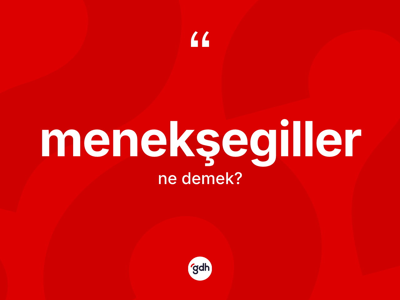 Menekşegiller ne demek? Menekşegiller kelimesinin özellikleri nelerdir?