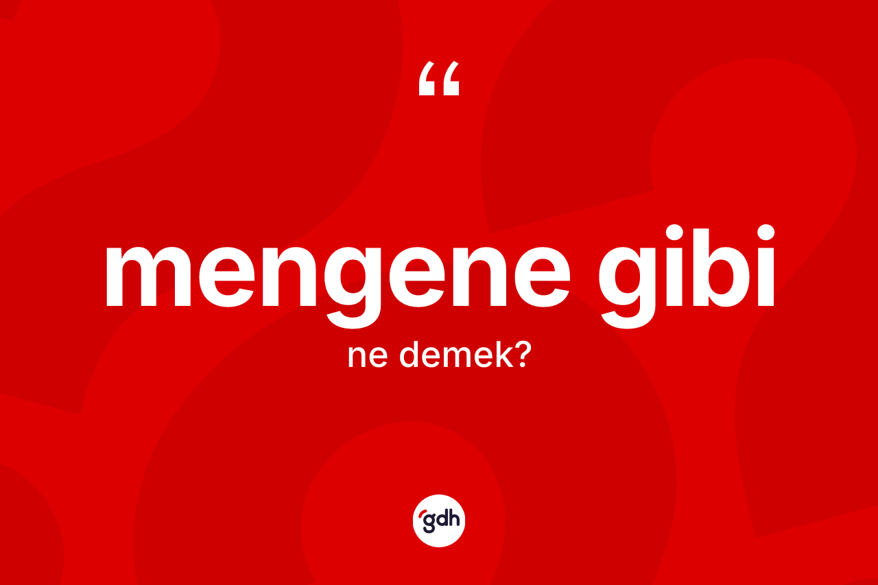 Mengene gibi nedir? Mengene gibi ifadesi hangi durumlarda kullanılır
