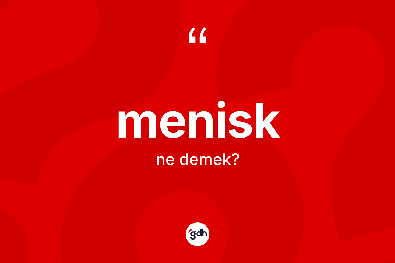 Menisk kelimesinin anlamı nedir? Menisğin kısaca tanımı nedir?