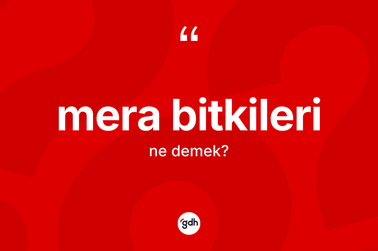 Mera bitkileri ne anlama gelir? Mera bitkilerinin halk arasındaki kullanımı nasıldır?