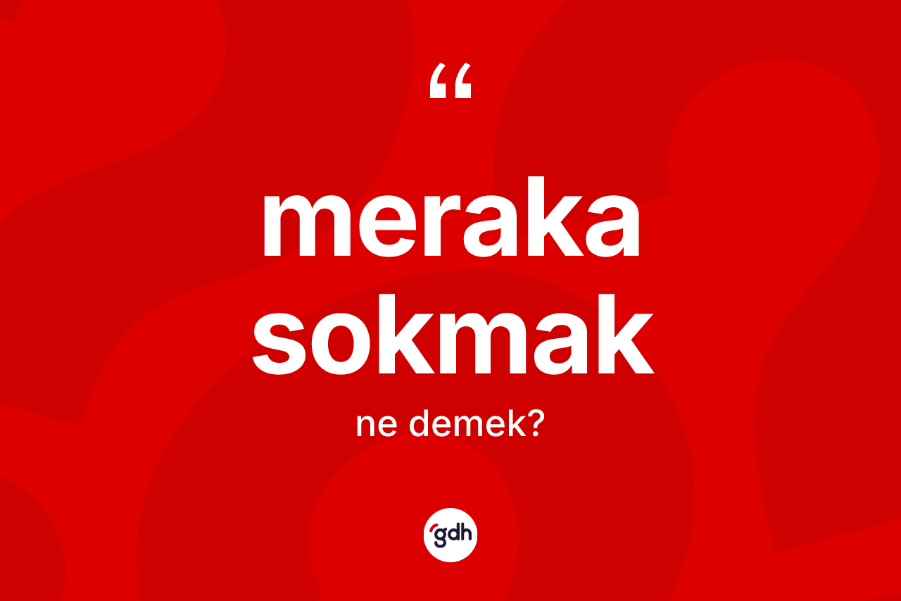 Meraka sokmak deyiminin anlamı nedir? Meraka sokmak ifadesinin kaç farklı anlamı var?
