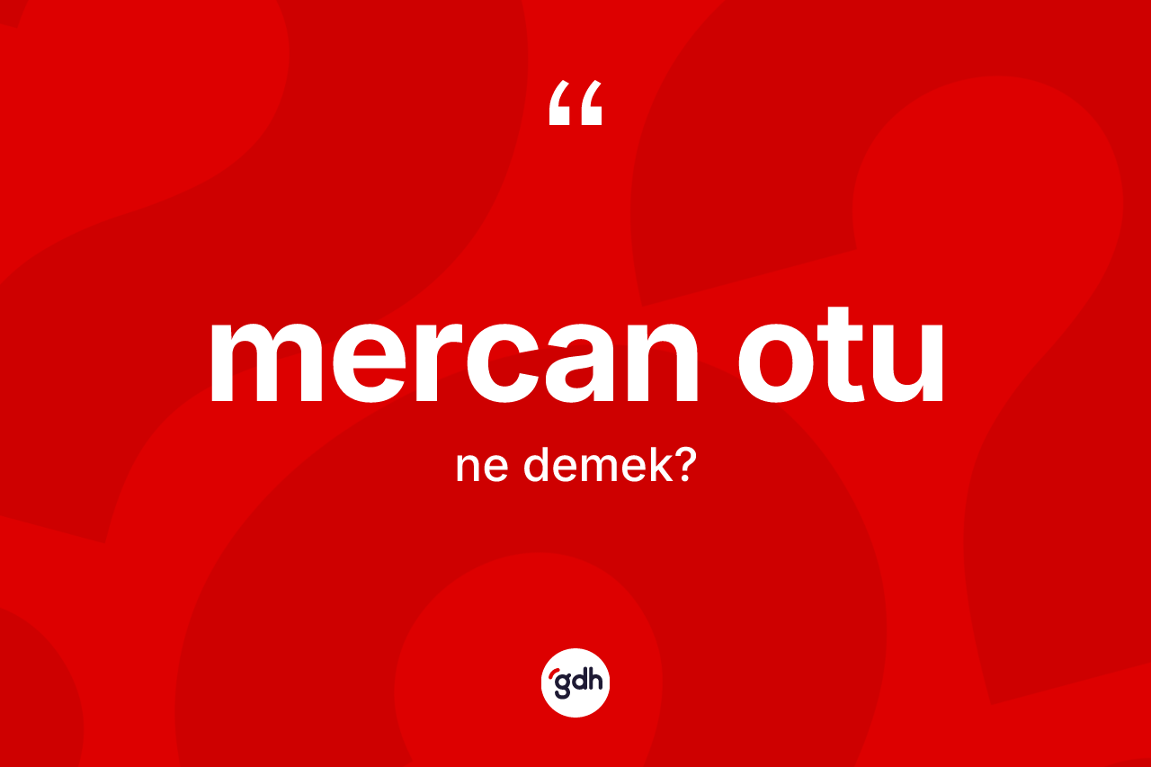 Mercan otu kelimesi ne anlama gelir? Mercan otunun halk arasındaki kullanımı nasıldır?