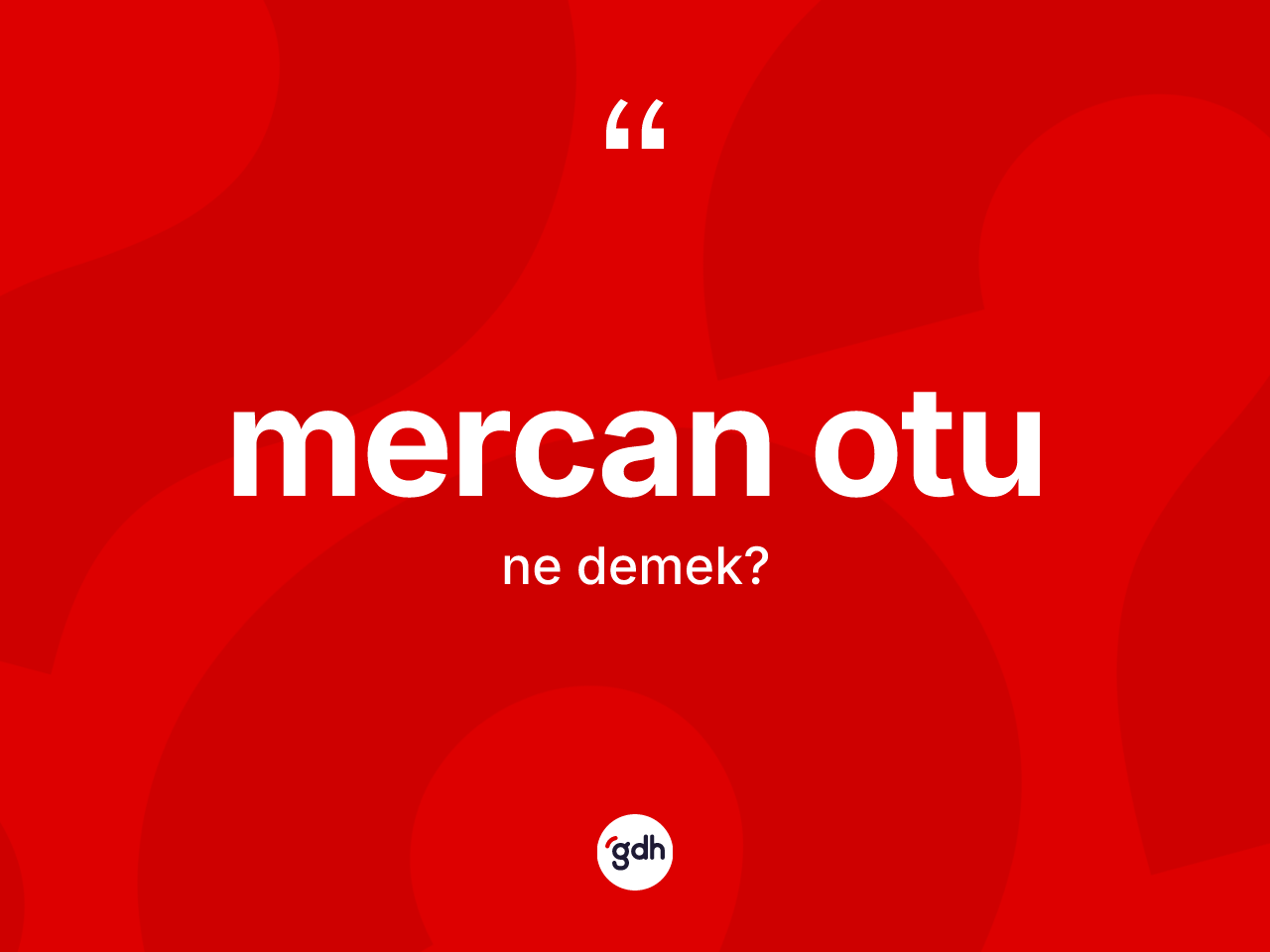 Mercan otu kelimesi ne anlama gelir? Mercan otunun halk arasındaki kullanımı nasıldır?