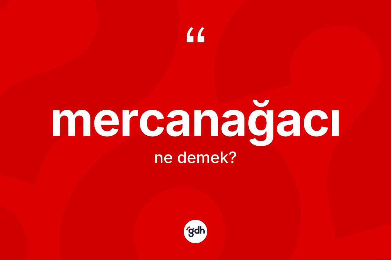 Mercanağacı kelimesi nedir? Mercanağacı kelimesinin TDK'ya göre açıklaması nedir?