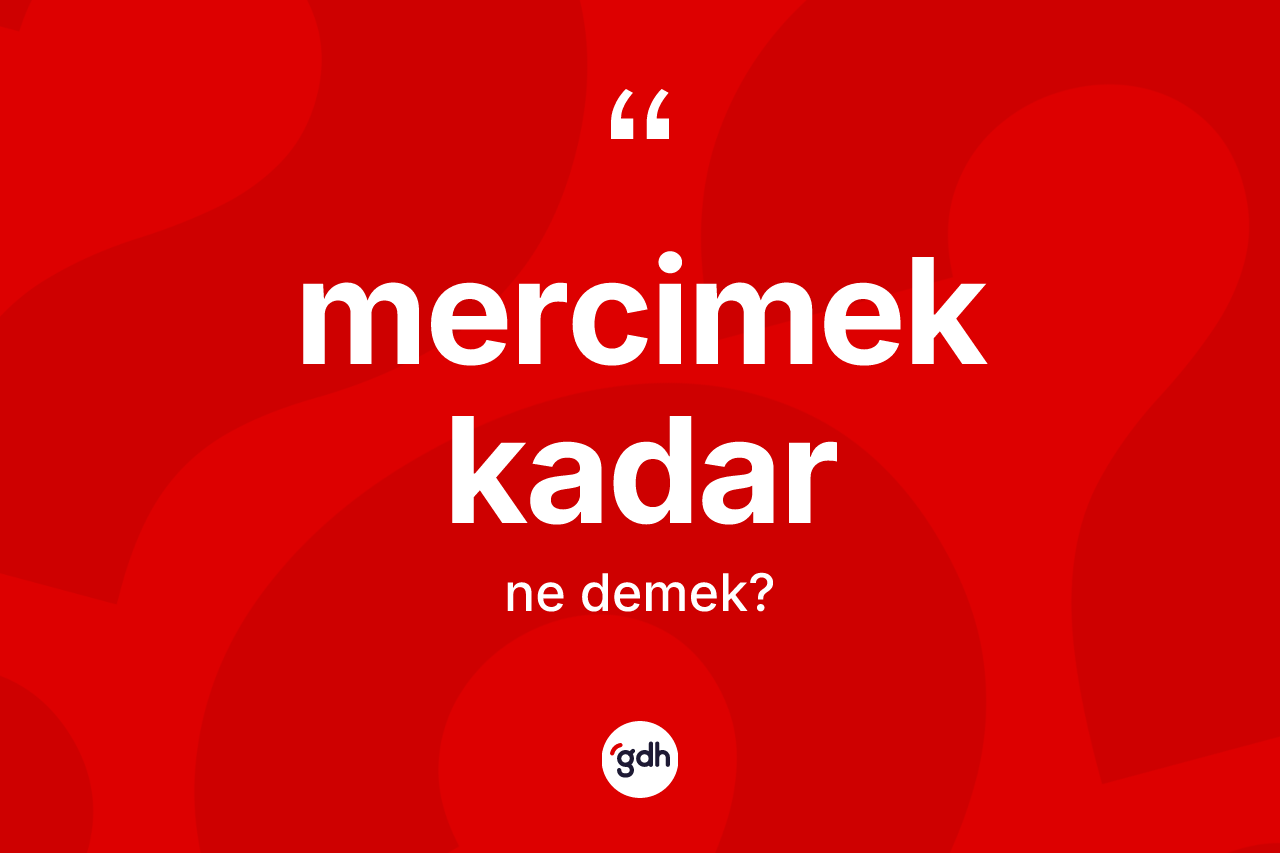 Mercimek kadar ifadesinin anlamı nedir? Mercimek kadar sözünün TDK tanımı nedir?