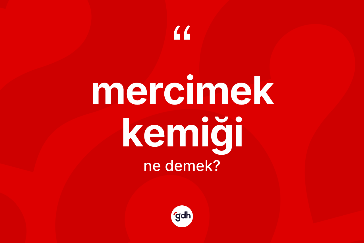 Mercimek kemiği kelimesi ne demek? Mercimek kemiğinin TDK'ya göre anlamı nedir?